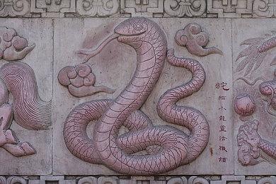 动视暴雪发声明严词批评联邦贸易委员会