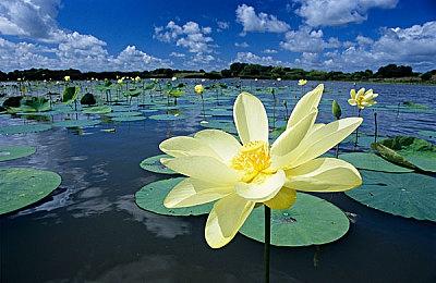 《灵魂骇客2》开场动画公布 8月25日正式发售