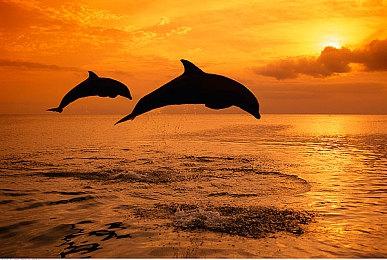 PSVR2游戏《地平线：山之呼唤》新实机预告